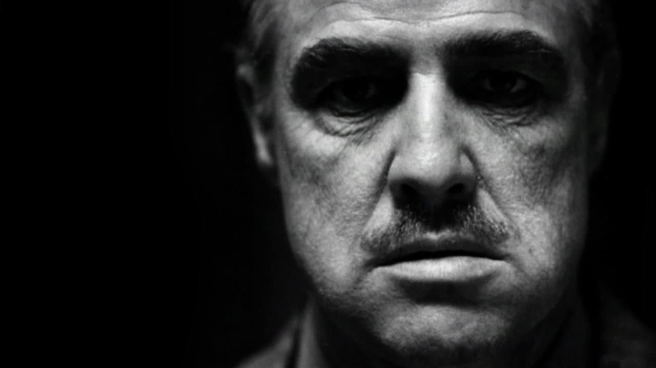 Backdrop – Marlon Brando: The Wild One