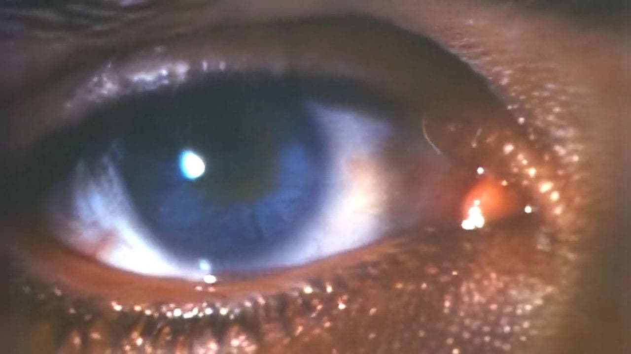 Backdrop – Gesichter des Todes III