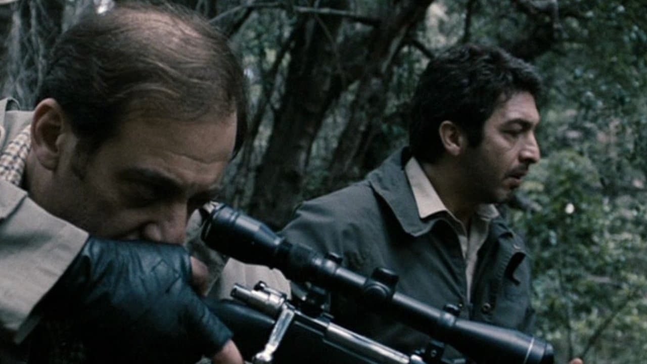 Backdrop – The Aura