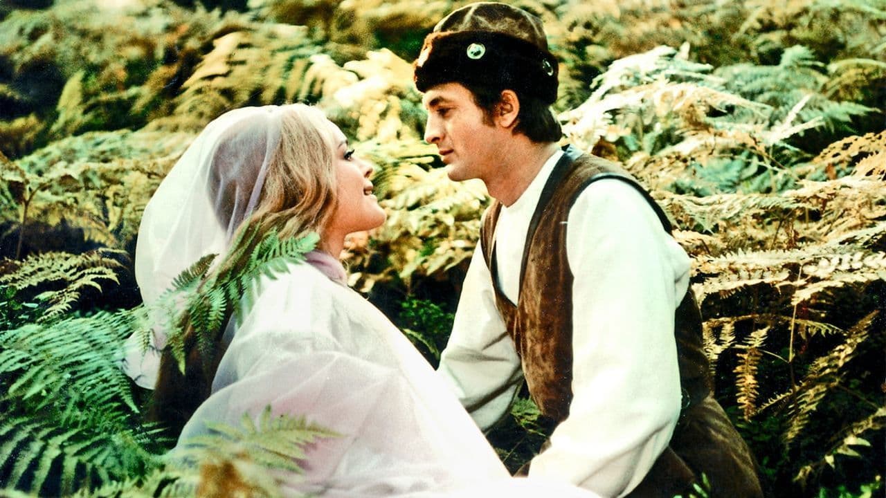 Backdrop – Prinz Bajaja