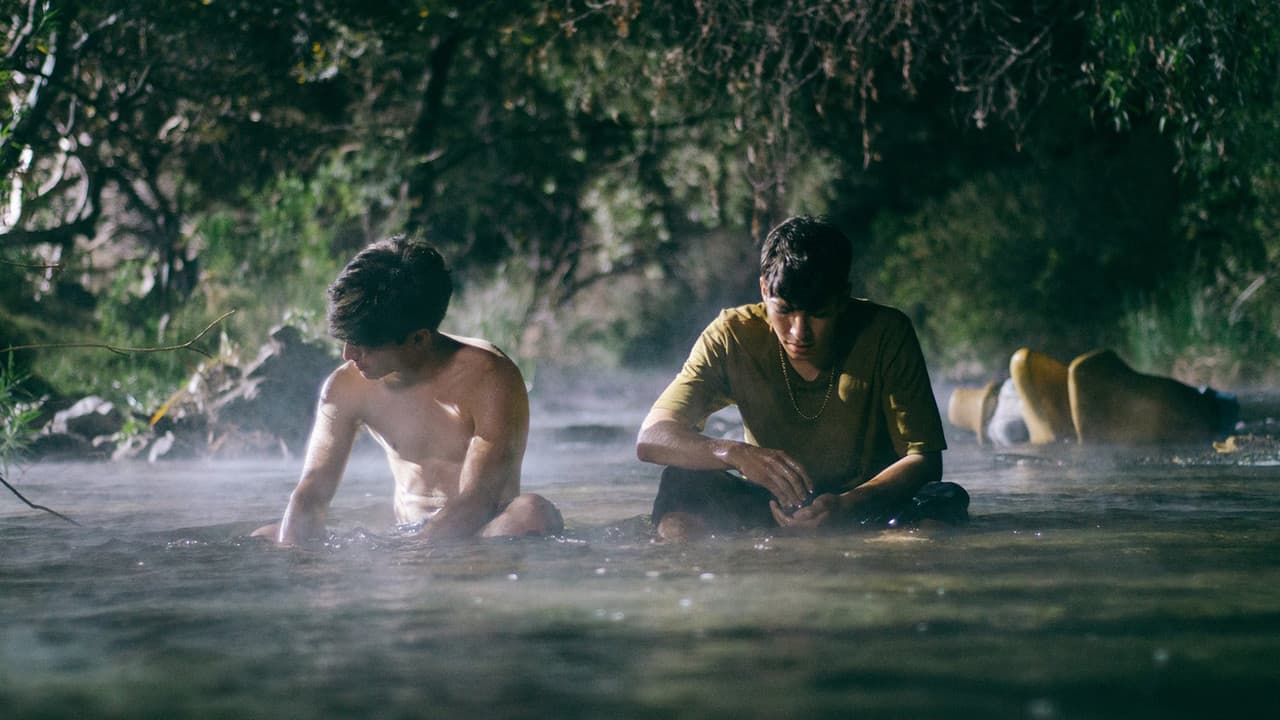 Backdrop – Primavera