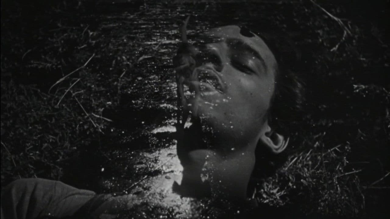 Backdrop – Die Vergessenen