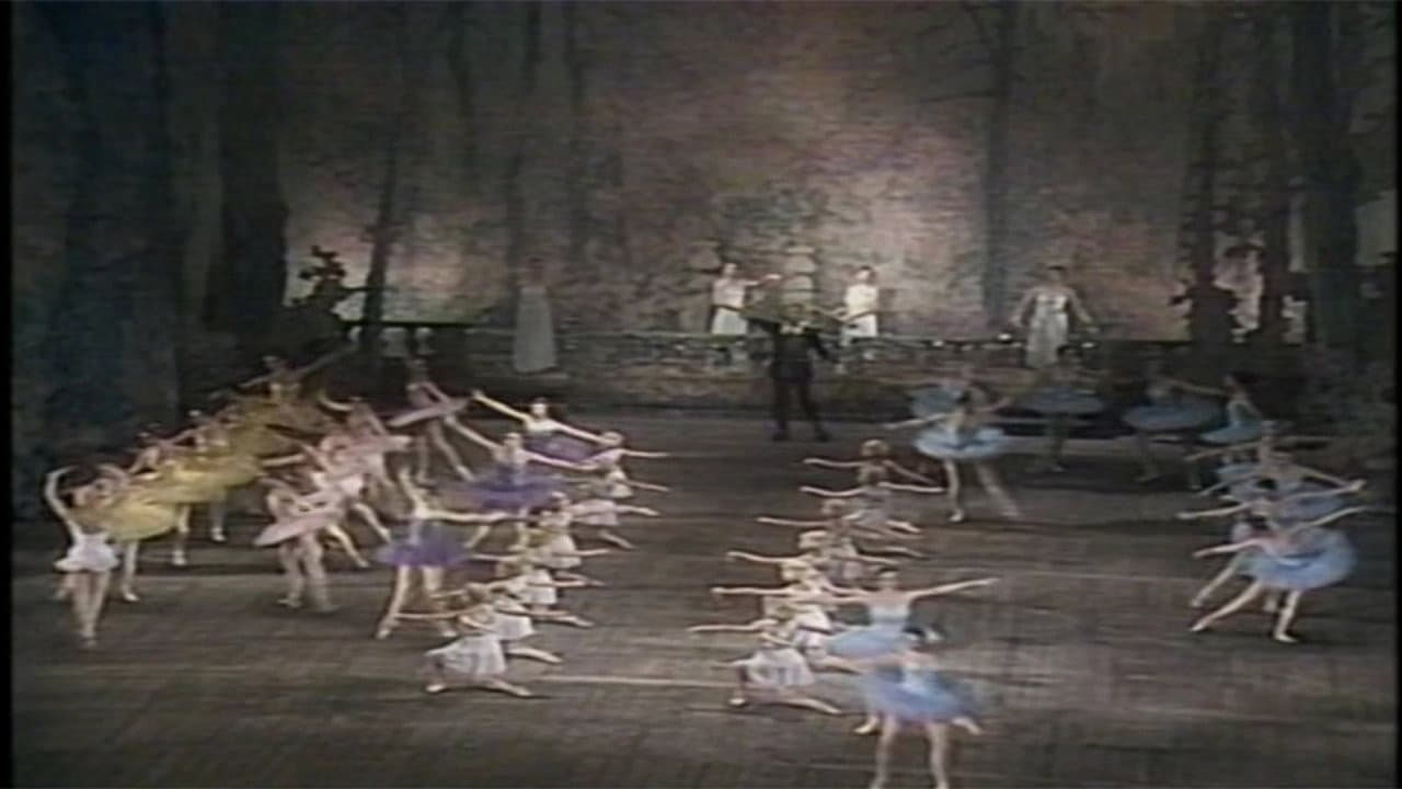 Backdrop – Don Quixote (Kirov Ballet)