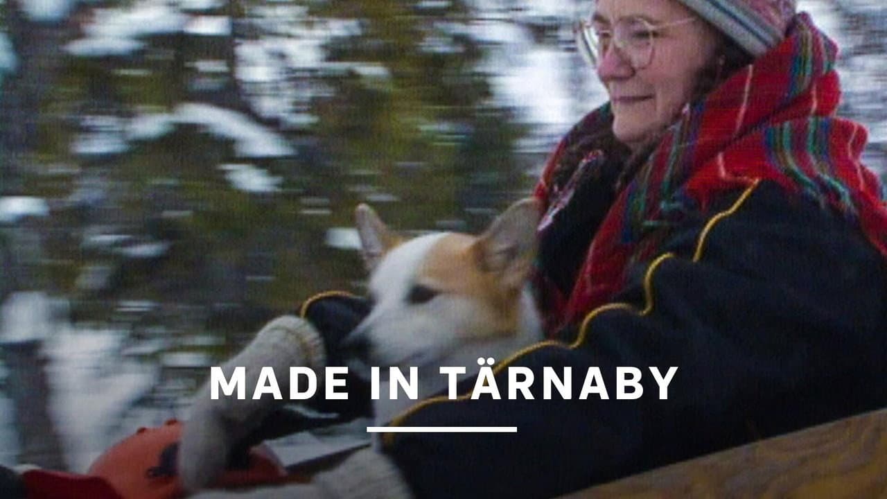 Backdrop – Made in Tärnaby