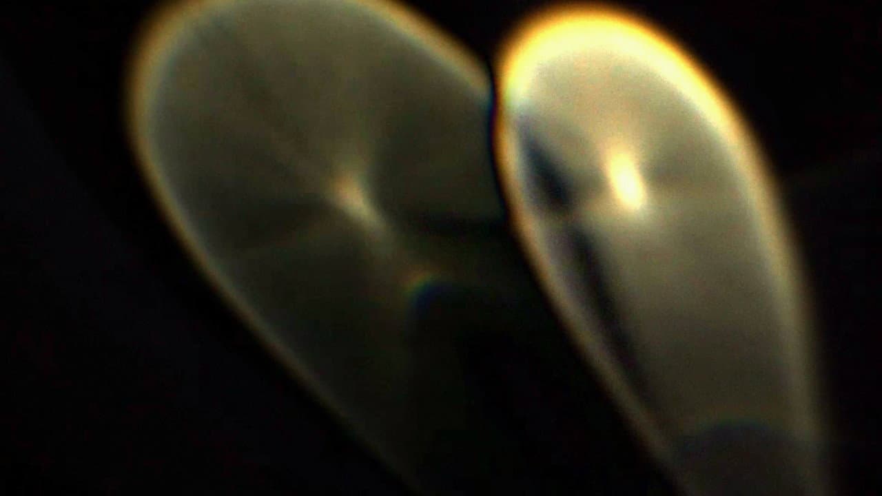 Backdrop – Night Terror