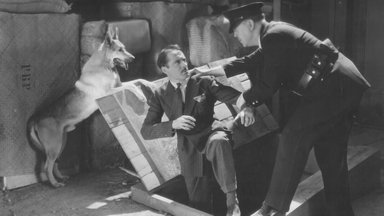 Backdrop – Captured in Chinatown