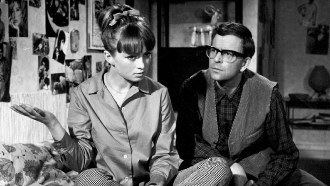 Backdrop – Sublokator