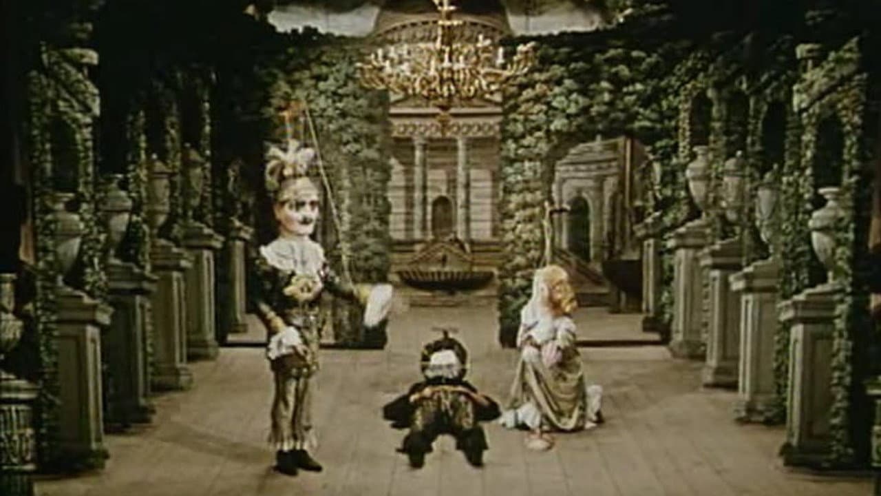 Backdrop – Don Šajn