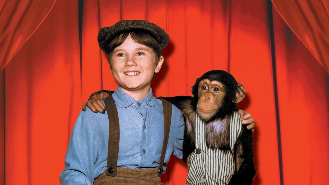 Backdrop – Mein Freund Stubbs