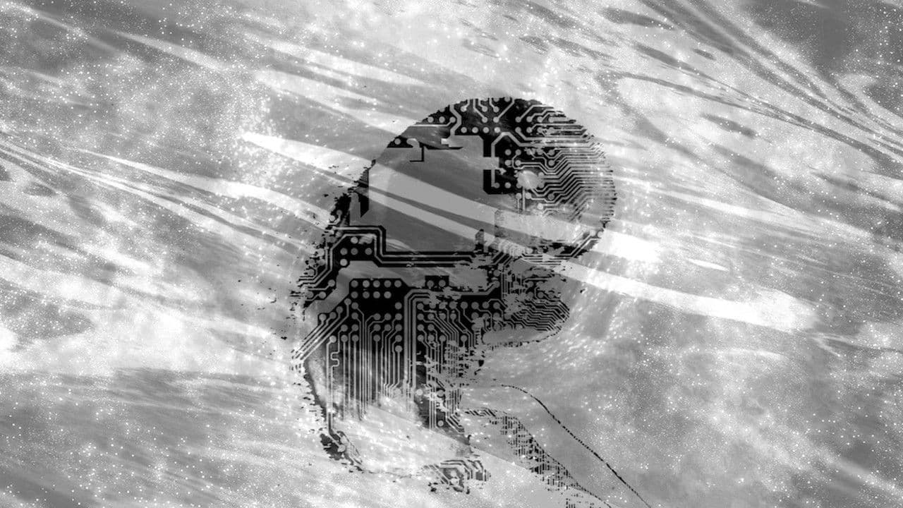 Backdrop – Anthropic Principle