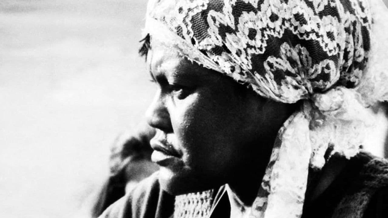 Backdrop – O Tigre e a Gazela