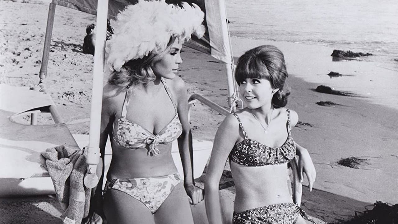 Backdrop – It's a Bikini World