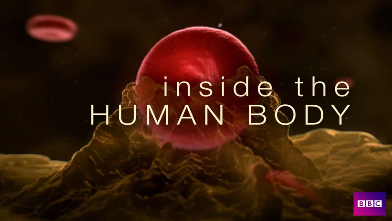 Backdrop – Inside the Human Body