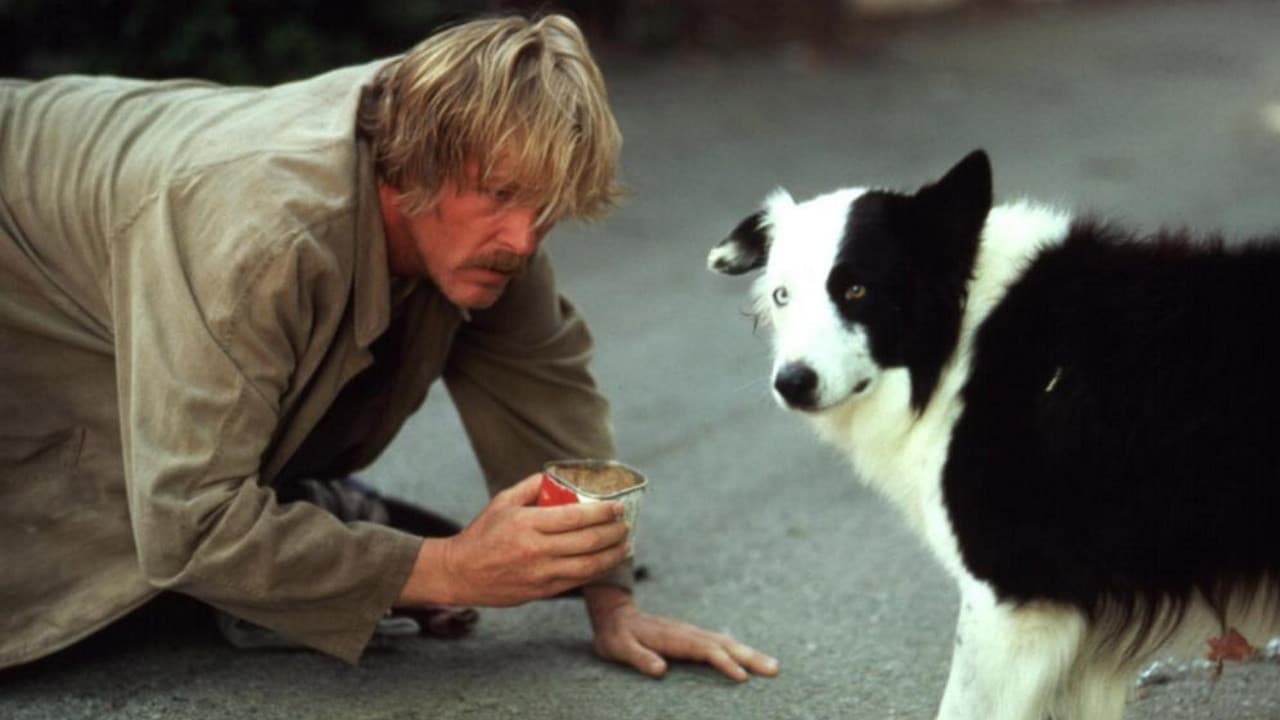 Backdrop – Zoff in Beverly Hills