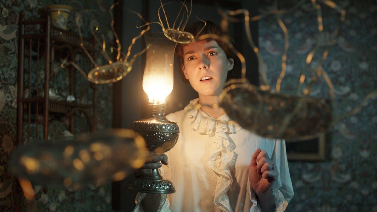 Backdrop – Angelica