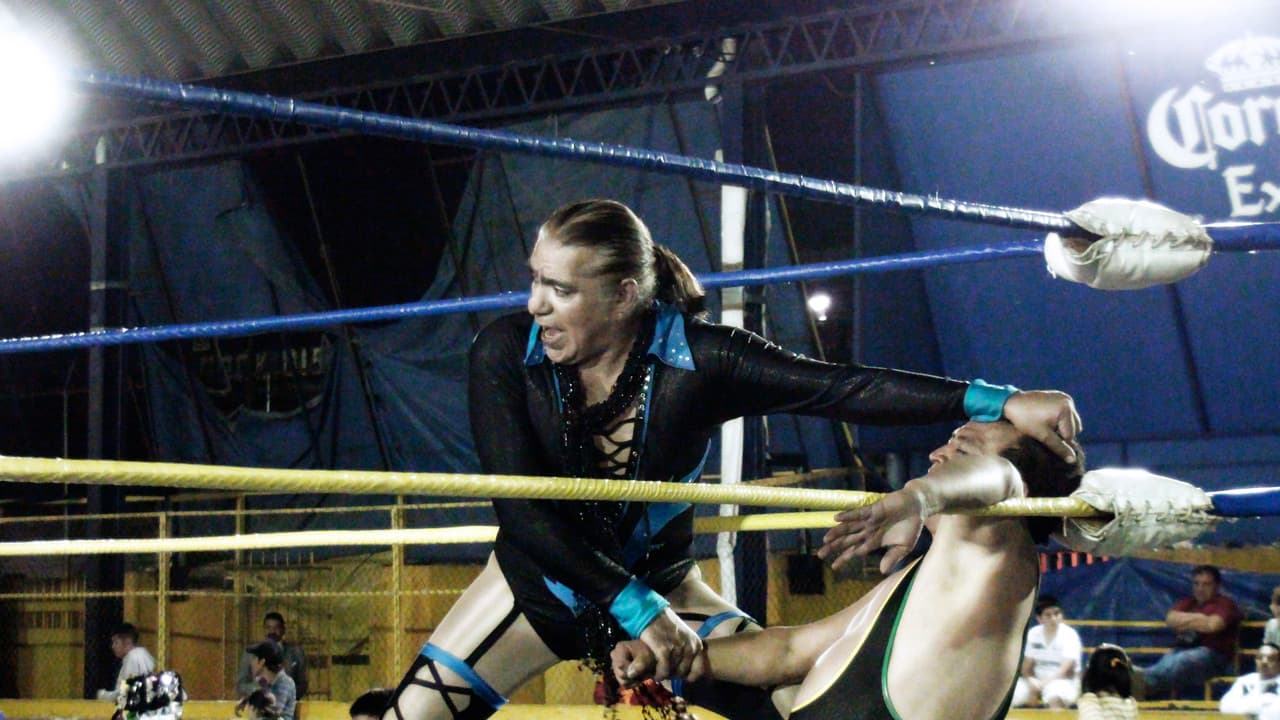 Backdrop – Los Exóticos