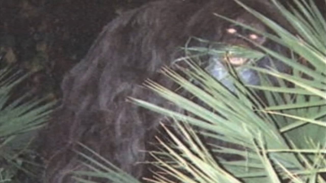 Backdrop – Southern Fried Bigfoot