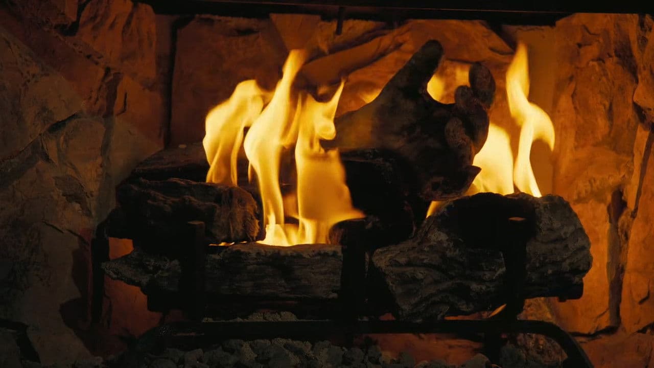 Backdrop – Fallout: Der Weihnachts-Ghul