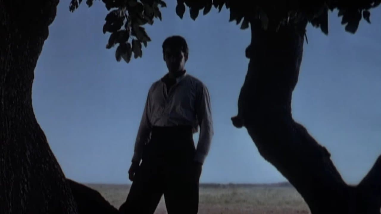 Backdrop – König der Gauchos