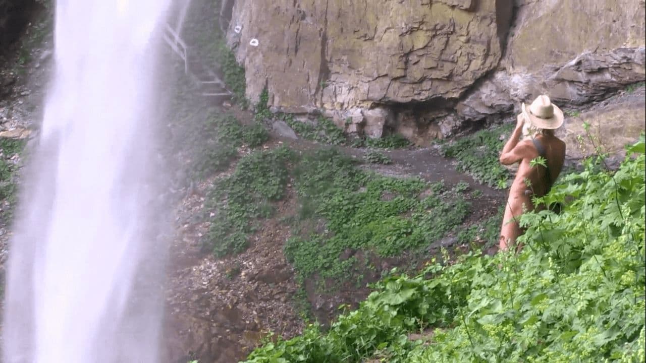 Backdrop – Travelling Light