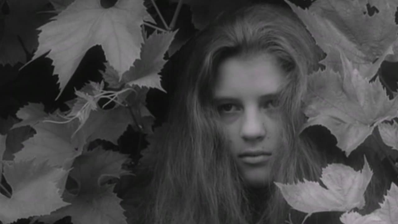 Backdrop – Alice in Wonderland