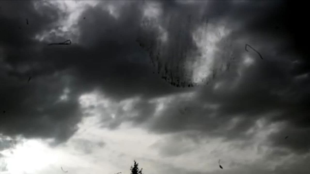 Backdrop – Variations on Iserois Landscapes