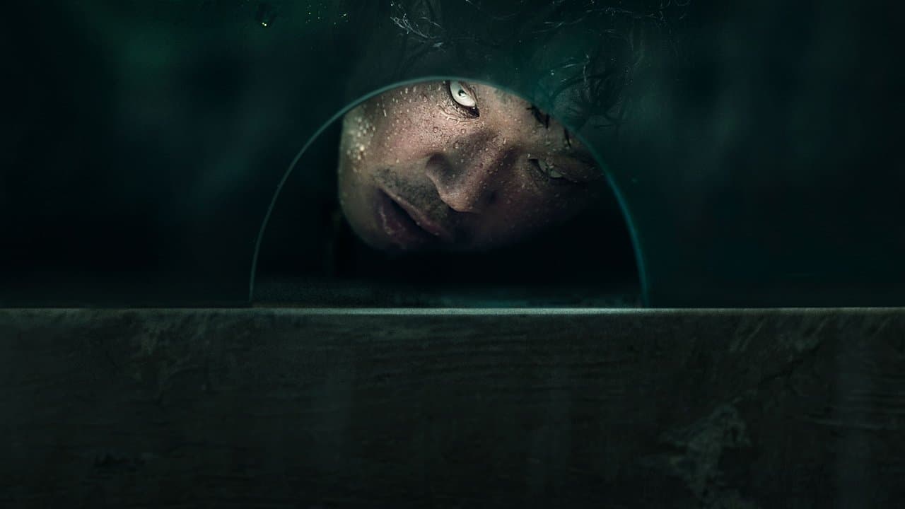 Backdrop – The 8th Night