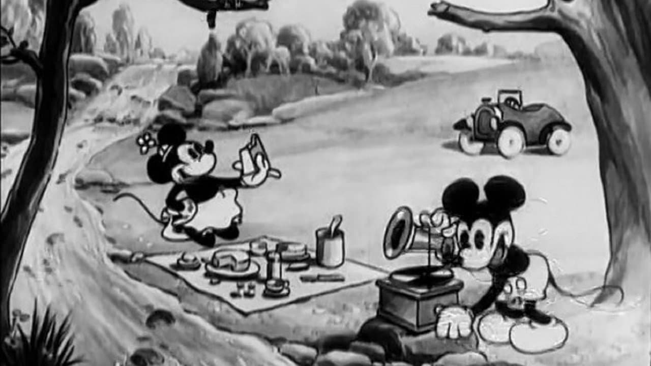 Backdrop – Picknick im Grünen