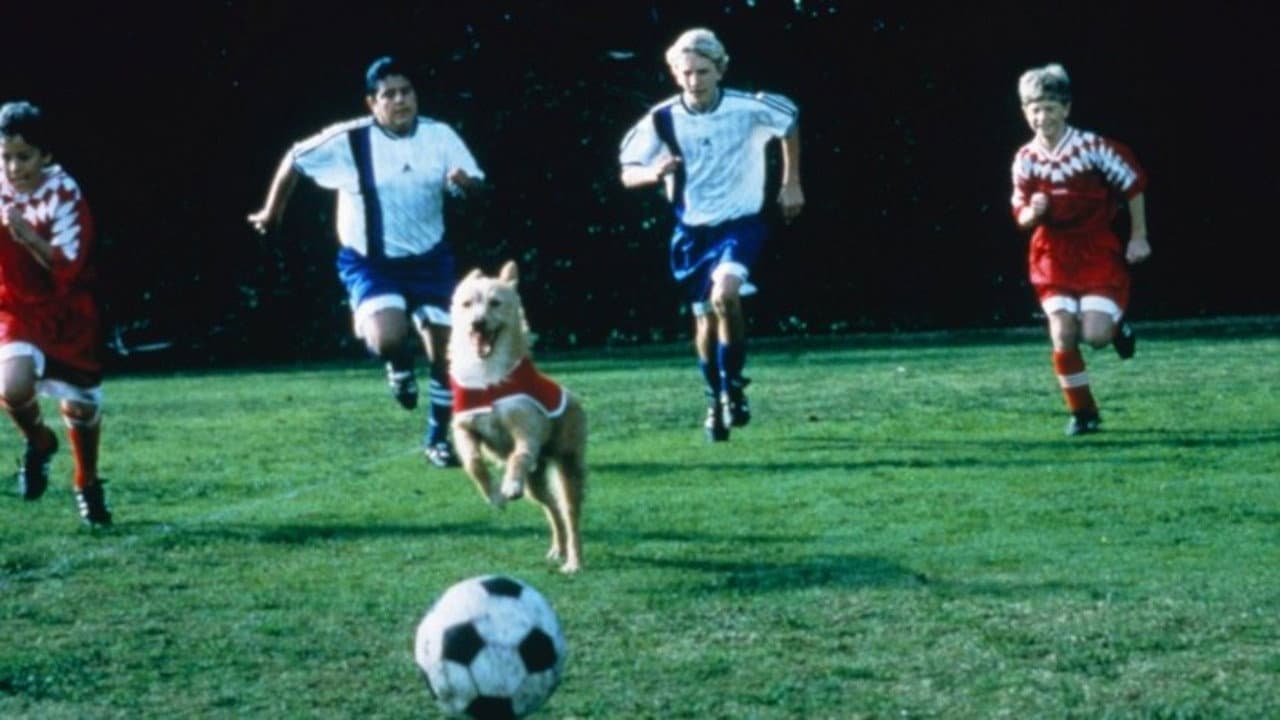 Backdrop – Soccer Dog: The Movie