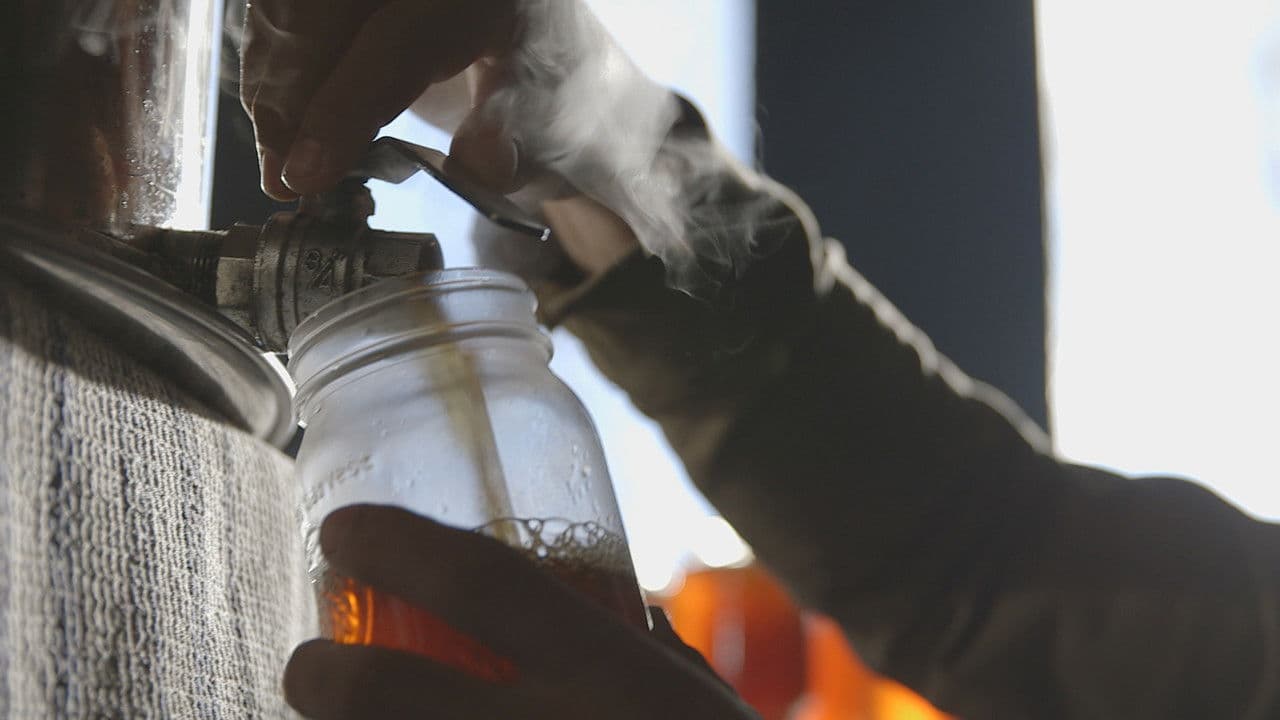 Backdrop – Le goût d'un pays