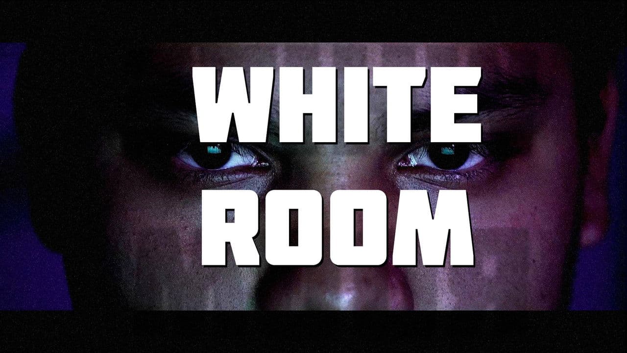 Backdrop – White Room