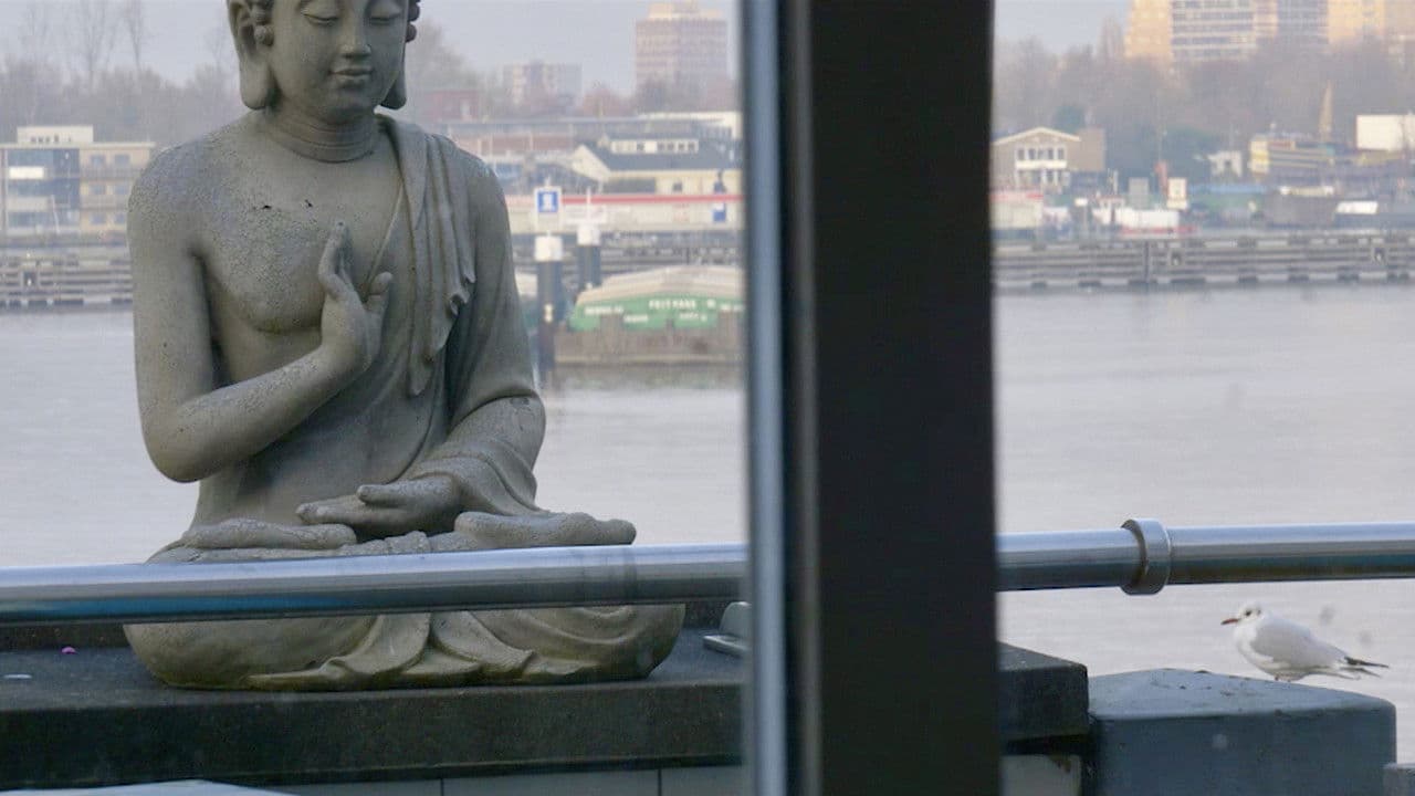 Backdrop – El Espejo y la Ventana