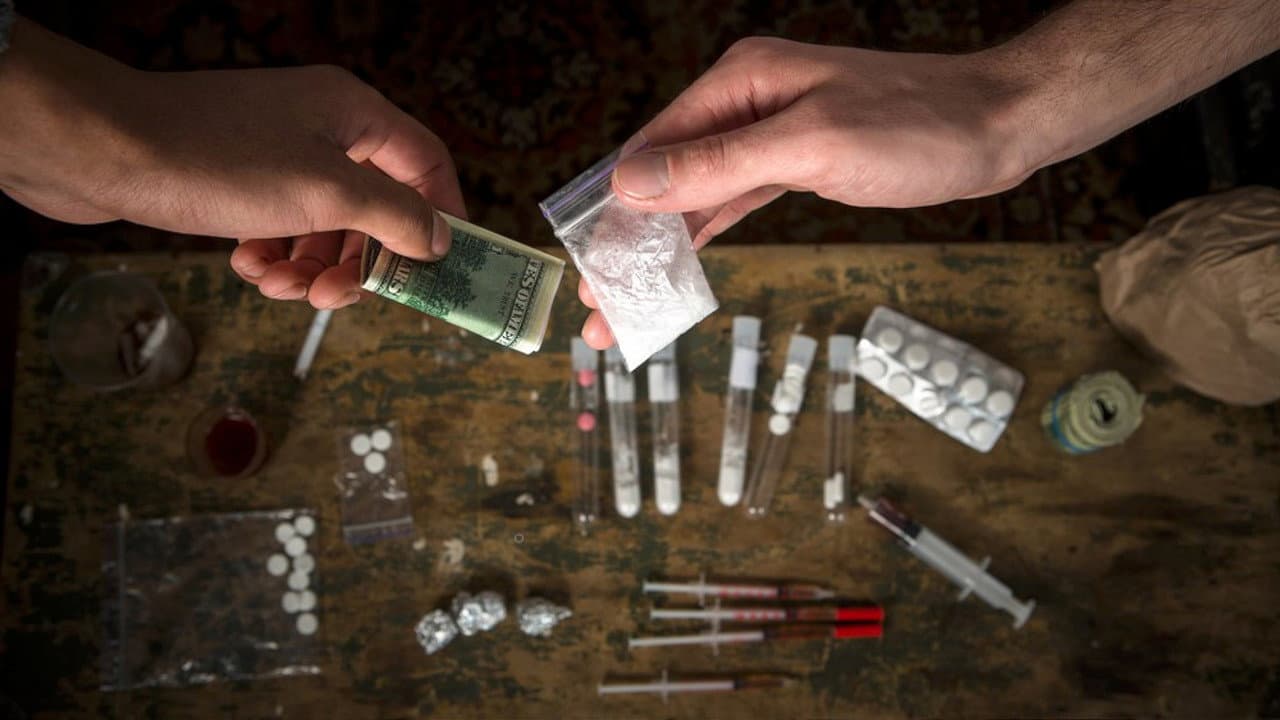 Backdrop – Drugs Are Like That