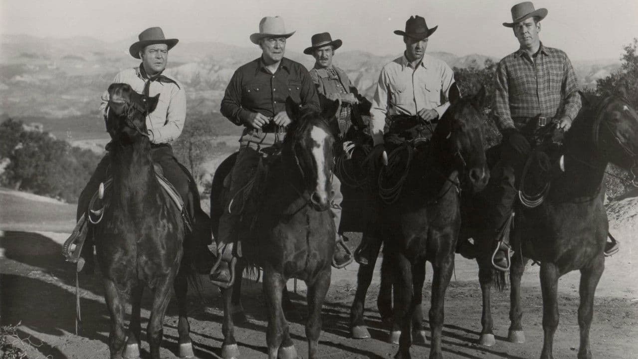 Backdrop – Fliegende Hufe