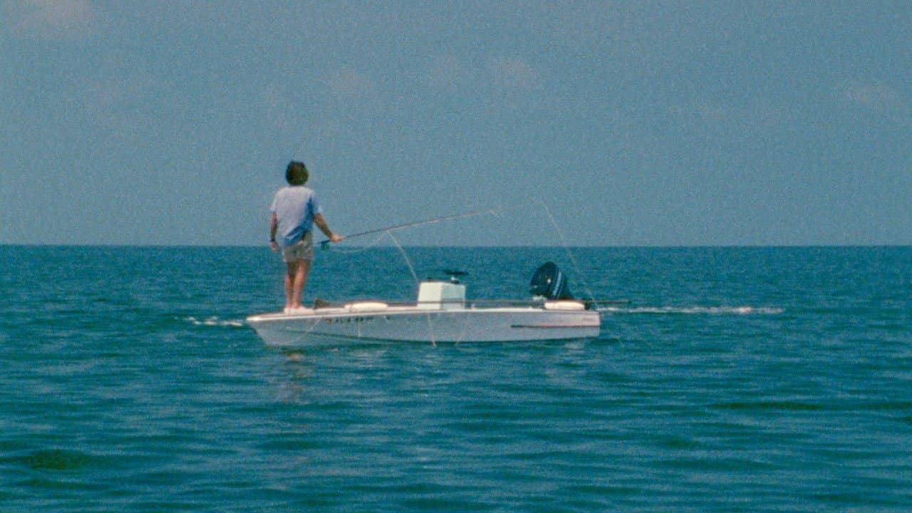 Backdrop – Tarpon