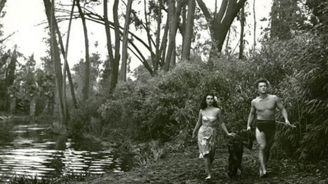 Backdrop – Bomba and the Hidden City