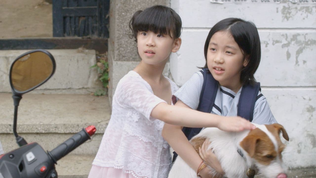 Backdrop – 개를 훔치는 완벽한 방법