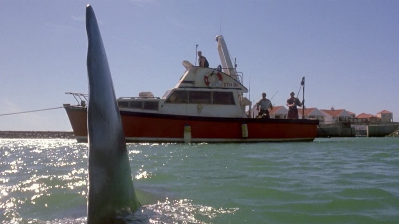 Backdrop – Shark Attack - The Killer Is Back