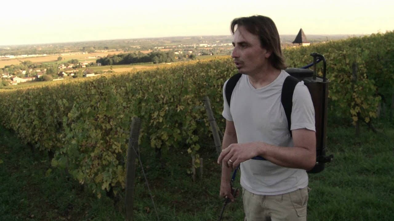 Backdrop – La Clef des Terroirs