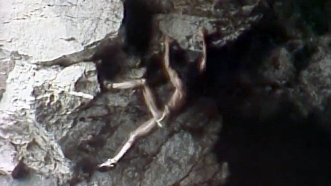 Backdrop – Metamorfosi