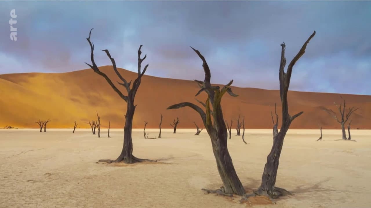 Backdrop – Abenteuer Namibia
