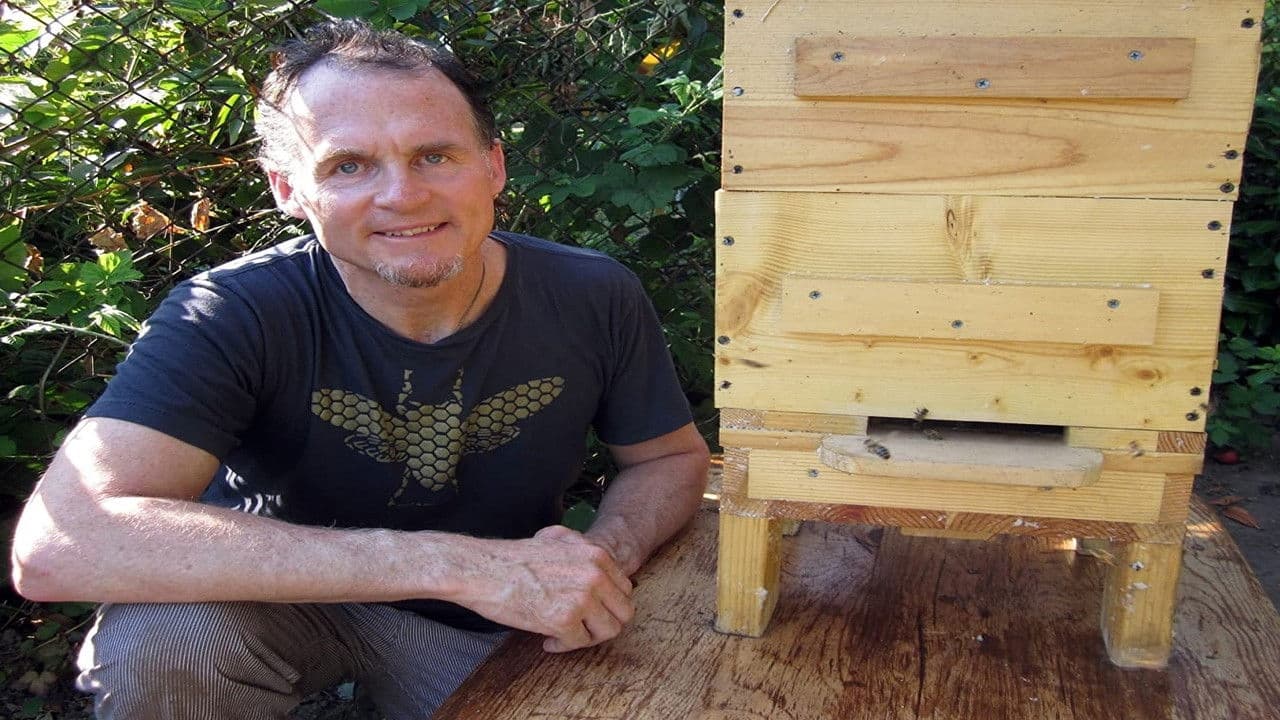 Backdrop – Queen of the Sun: What Are the Bees Telling Us?‎