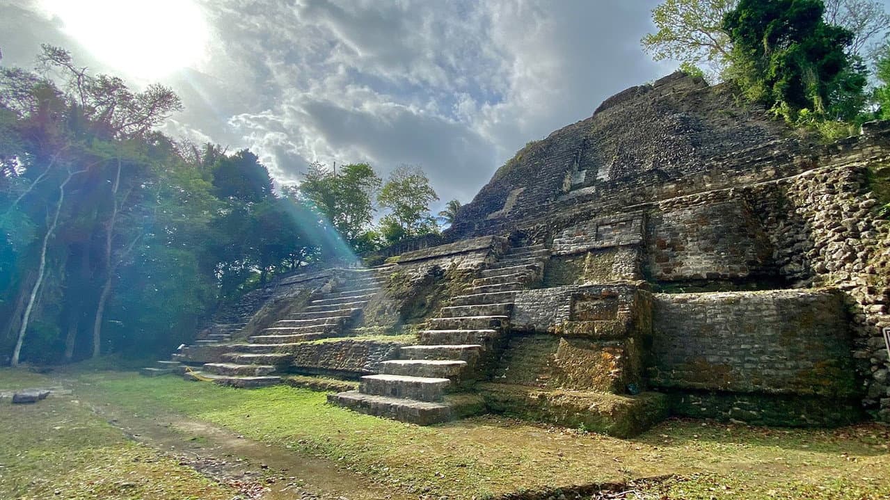 Backdrop – Ancient Builders of the Amazon