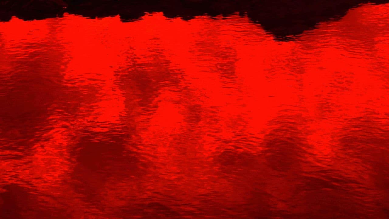 Backdrop – “레드필터가 철회됩니다.”