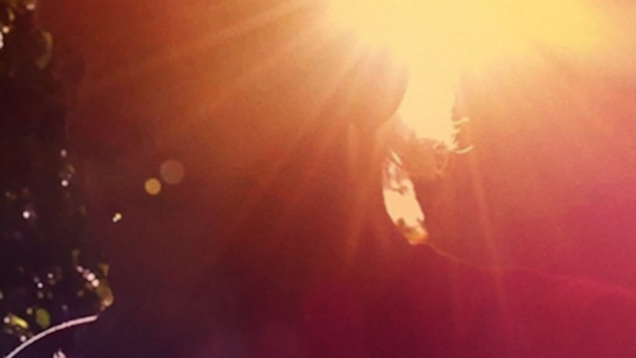 Backdrop – Ram Dass, Going Home