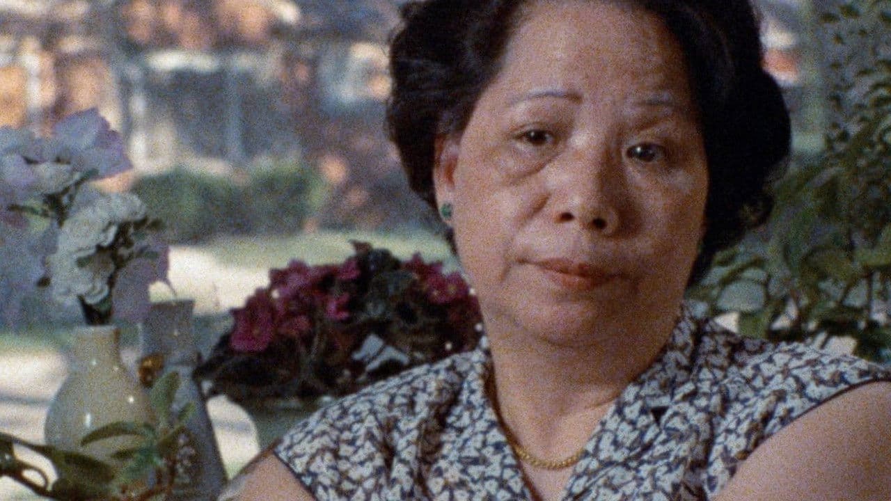 Backdrop – Who Killed Vincent Chin?