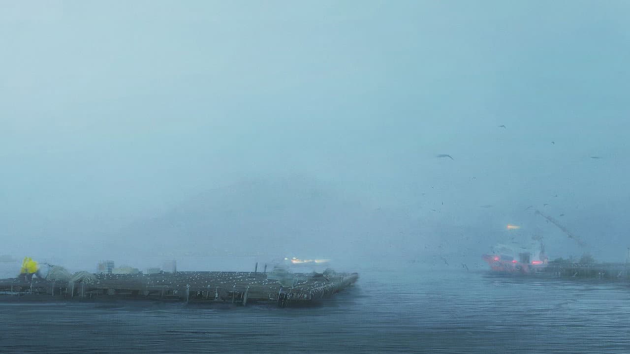 Backdrop – Entre Bateas