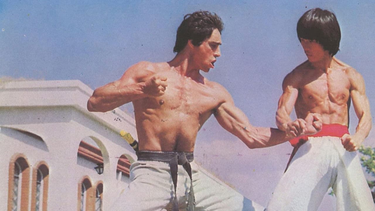 Backdrop – Bruce Le - Faust der Rache