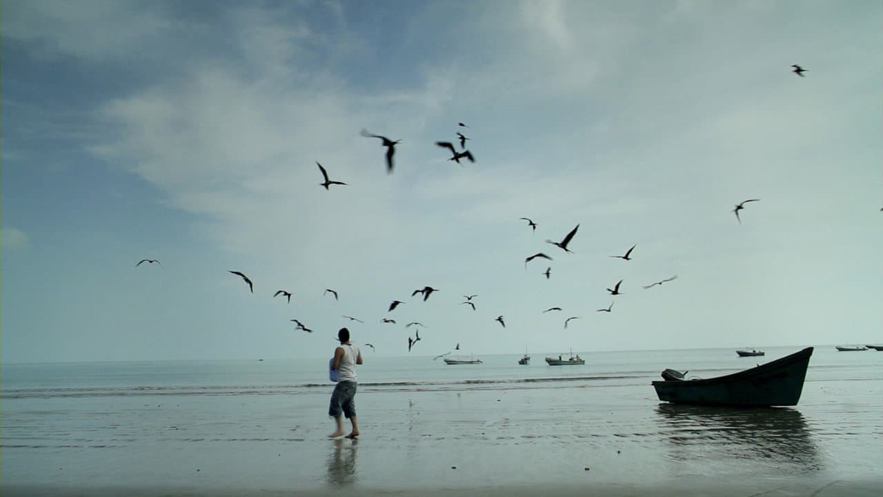 Backdrop – Pescador