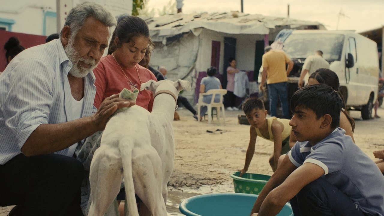 Backdrop – Ciudad sin sueño
